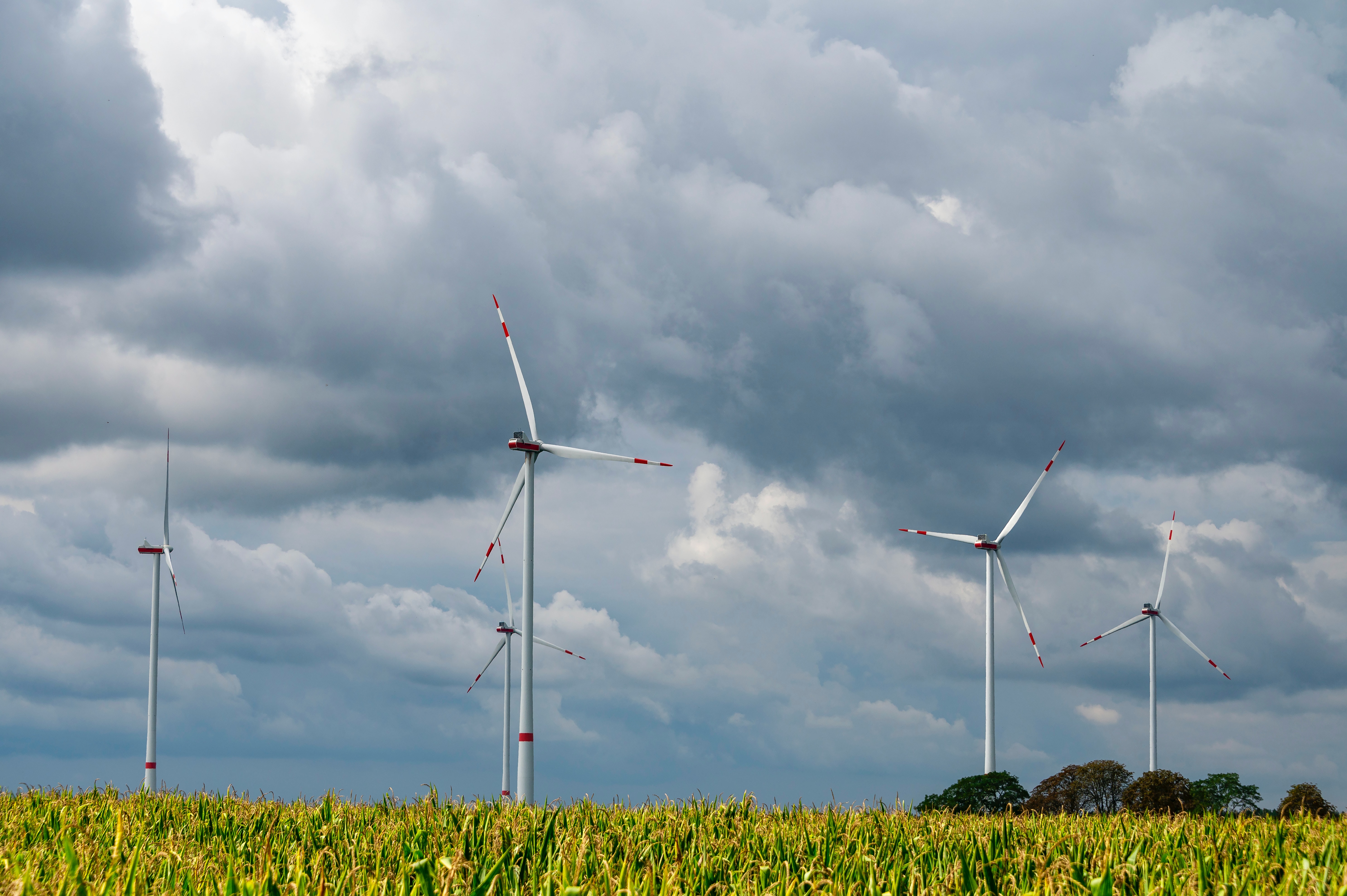 Windkraftanlage in Brandenburg (Beispielbild). Foto: Etienne Girardet